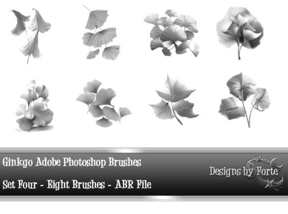 Enhance Your Digital Art with 8 Ginkgo Adobe Photoshop Brushes Set 4
