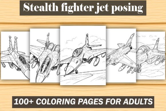 Stealth Fighter Jet Posing Coloring Book