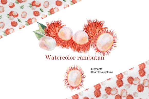 Watercolor Rambutan: Bringing Tropical Warmth to Your Creative Projects